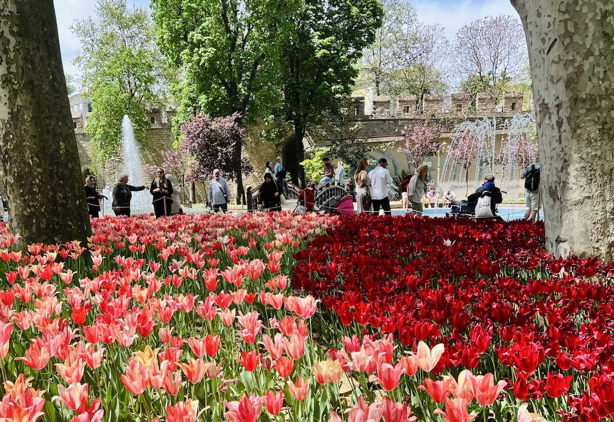 Visitors walking among vibrant red and pink tulip beds with large trees and water fountains in the background at the Tulip Festival in Gülhane Park.
