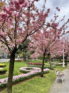 Traveling to Turkey in Spring (2026): The Ultimate Guide