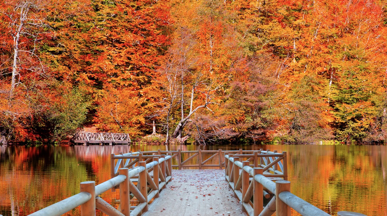Turkey in Autumn: 15+ Cozy Places to Visit, Fall Weather, and Seasonal Tips